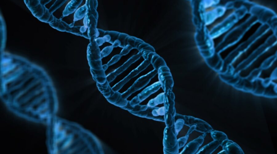 MHX Digital Media, LLC, an Interactive Entertainment and Animation Studio: Image of DNA